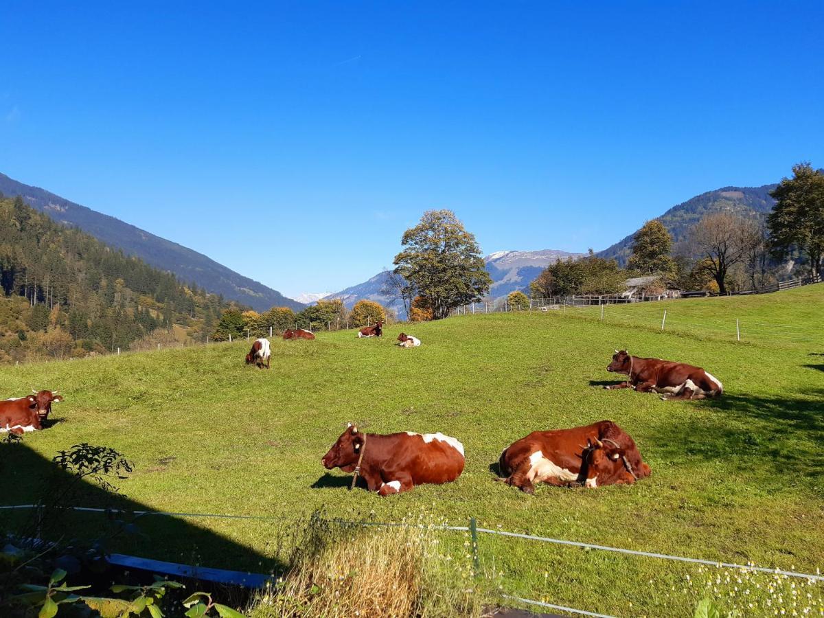 巴特霍夫加施泰因Hoislbauerngut公寓 外观 照片